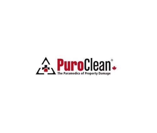 purocleanon Profile Picture