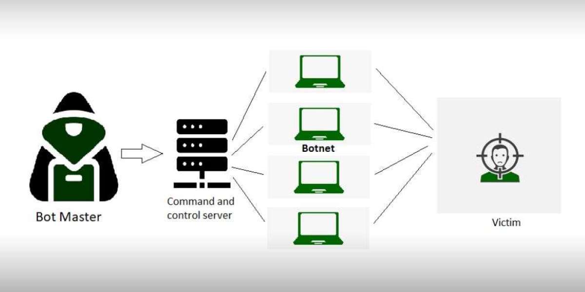 Distributed Denial of Service (DDoS) Protection and Mitigation Security Market Dynamics - Exploring Growth, Opportunitie