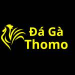 Đá Gà Thomo Trực Tiếp Profile Picture