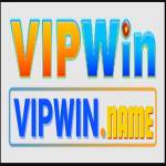 vipwin name profile picture