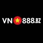 vn888bz Profile Picture