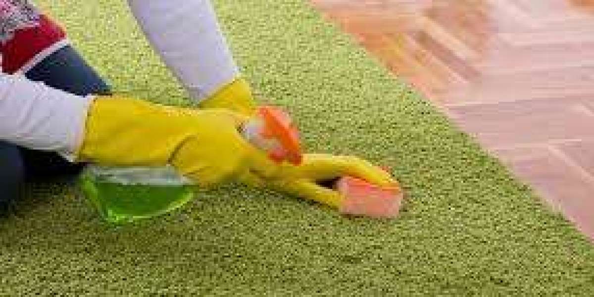 Affordable Carpet Cleaning Services: Transform Your Space Now!