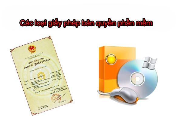 Các loại giấy phép bản quyền phần mềm hiện nay