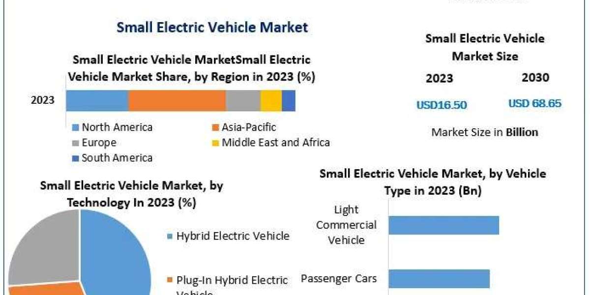 Small Electric Vehicle Business: Sustainable Solutions Driving the Future to 2030