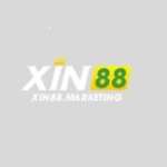 XIN88 Đam mê dẫn lối Profile Picture