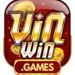 Vinwin games profile picture