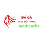 Đá Gà Trực Tiếp Thomo Hôm Nay Profile Picture