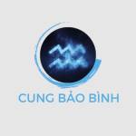 Cung Bảo Bình Profile Picture