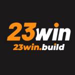 23winbuild Profile Picture