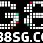 pg88sgcom Profile Picture