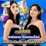 cat888mn Profile Picture