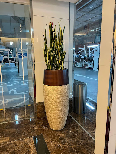 Why Choose Artificial Snake Plant Stems for Your Space