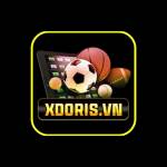 Xdoris VN Profile Picture