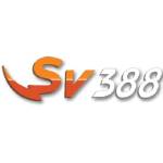 Sv388 Profile Picture