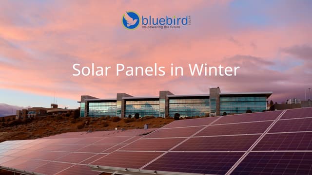 How Solar Panels Work in Winter - Bluebird Solar | PPT