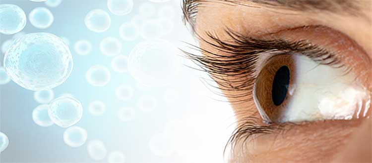 Eye Vision Loss Treatment in India