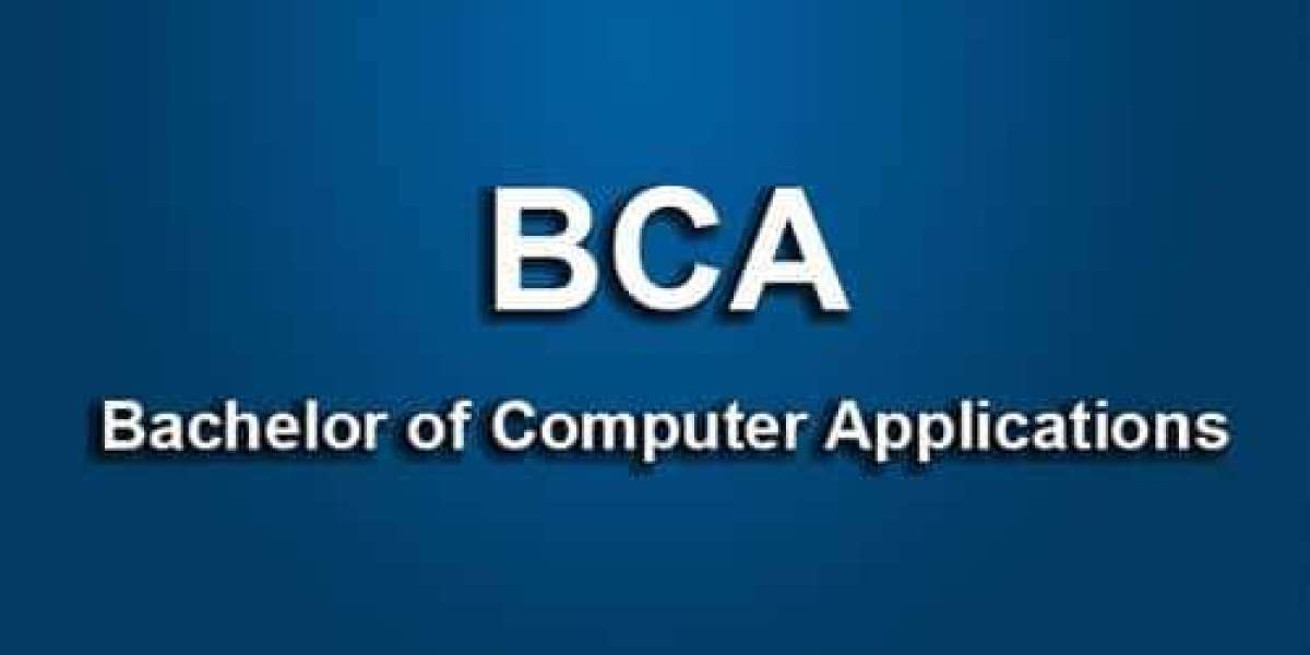 Can You Pursue a Government Job After BCA