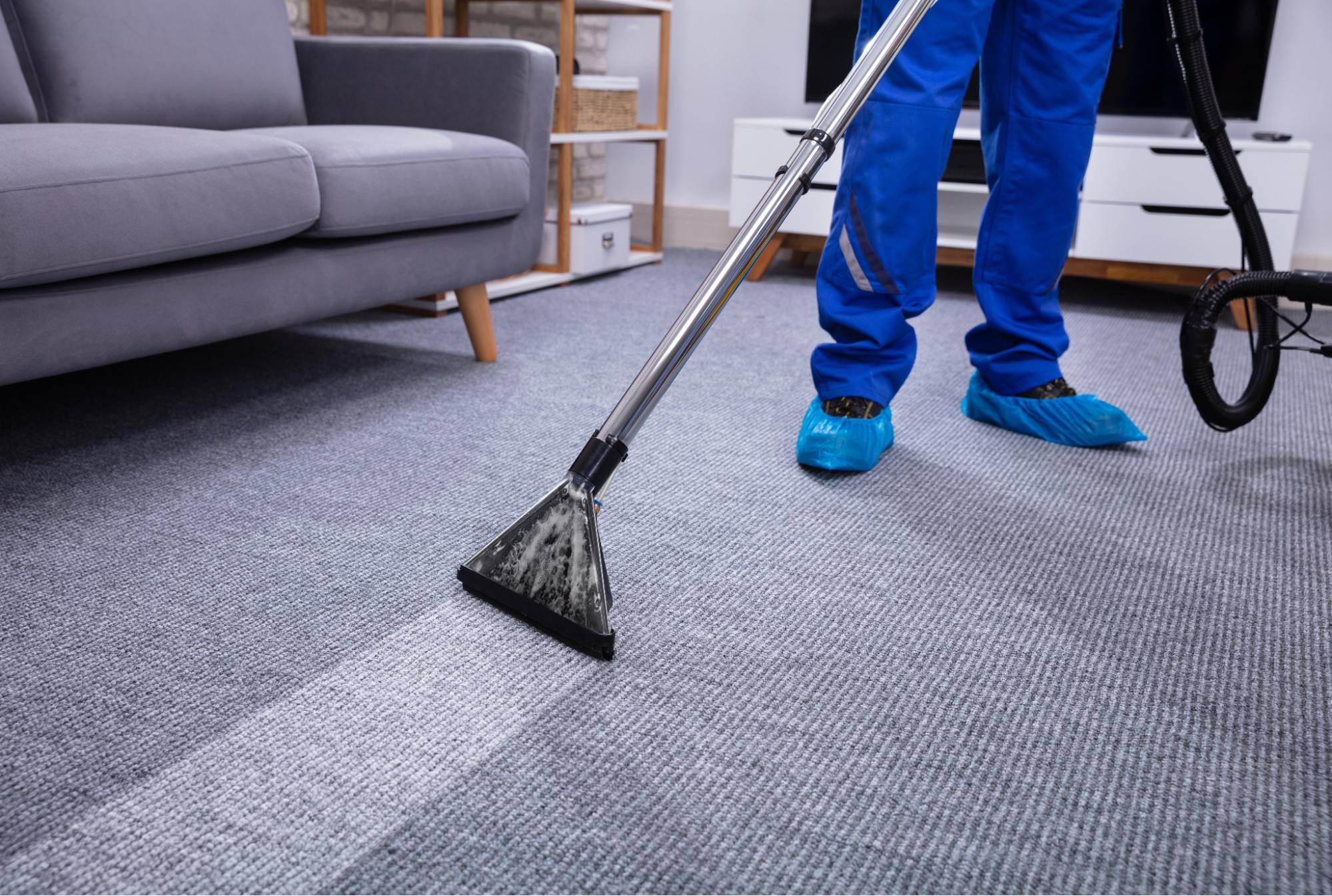 Protect Your Health With Professional Rug Cleaning Services In Sydney - Rug Cleaning Sydney | Rug Cleaners Sydney | Rug Washing Sydney | Rug Cleaner | Rug Washing - Devine Rug Care