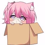 NekoPoi Profile Picture