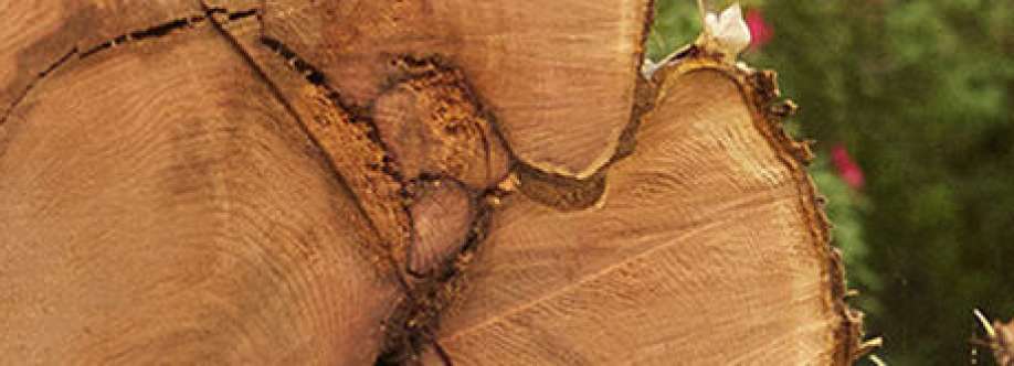 Charles Tree Services Cover Image