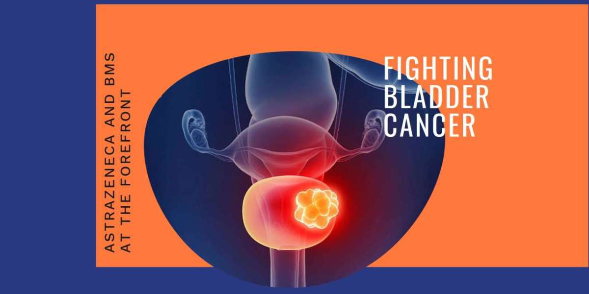 Merck, AstraZeneca Drive Innovation in Bladder Cancer Care