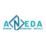 Aneda Digital Marketing Profile Picture