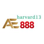 AE888 Profile Picture