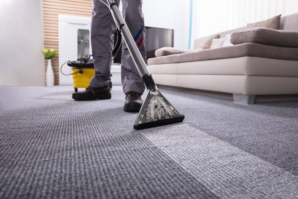 Professional Carpet Cleaning Services in Halifax | Steamates