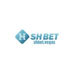 shbet repair Profile Picture