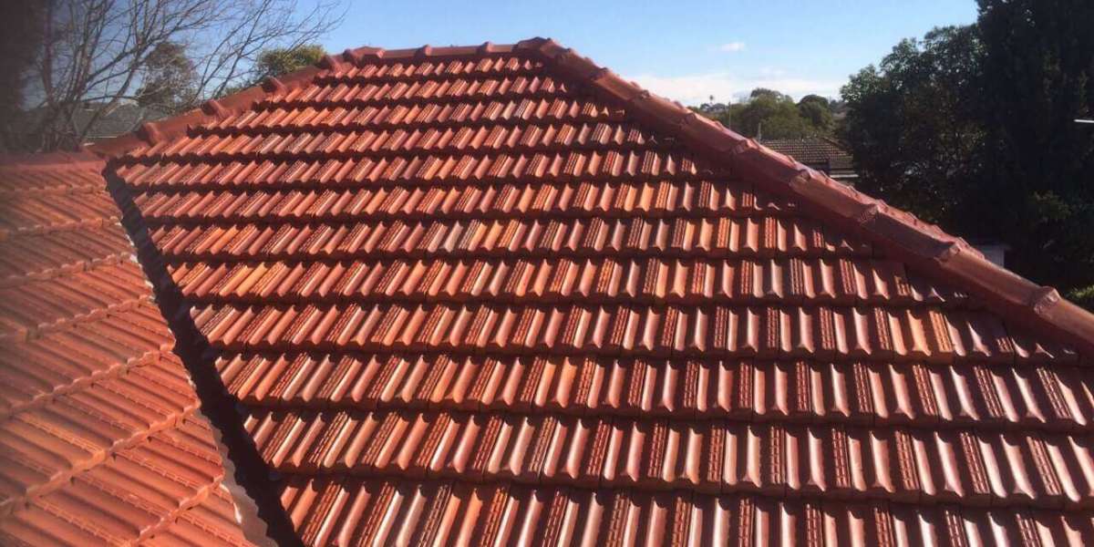 Why Roof Painting in Sydney is a Smart Investment