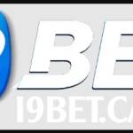 I9BET Nhà cái Profile Picture