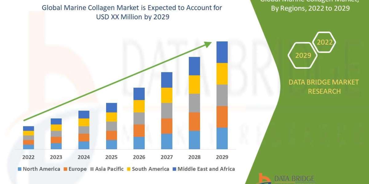 Marine Collagen Market: Growth Insights and Market Demand