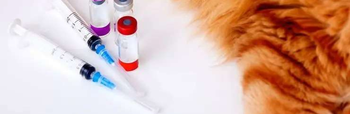 Silverado Veterinary Hospital Cover Image