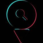 SnapTik Downloader Download TikTok Videos Without Profile Picture