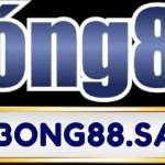 bong88sale Profile Picture