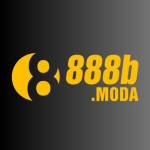 888b moda Profile Picture