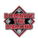 The Best Baseball Drills For a Competitive Practice | by Dominate The Diamond | Jan, 2025 | Medium