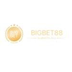 bigbet88bizz Profile Picture