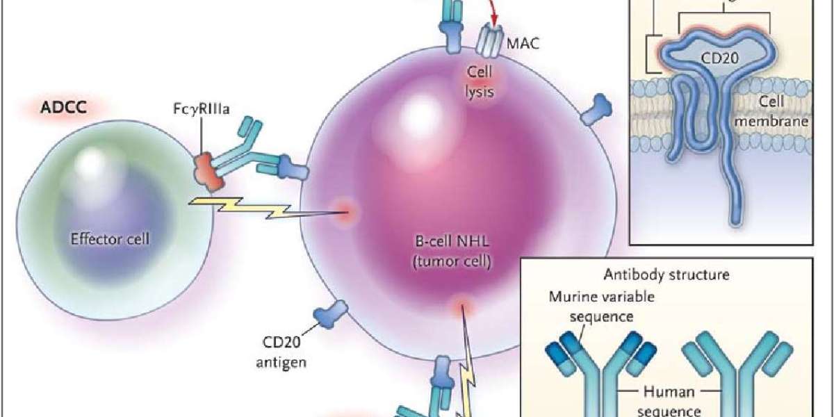 In-Depth Analysis of Obinutuzumab Market by Distribution Channel and Indication