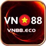 VN 88 Profile Picture