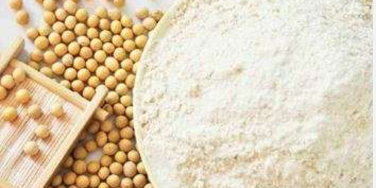 Soy Protein Isolate Prices, News, Trend, Graph, Chart, Forecast and Historical