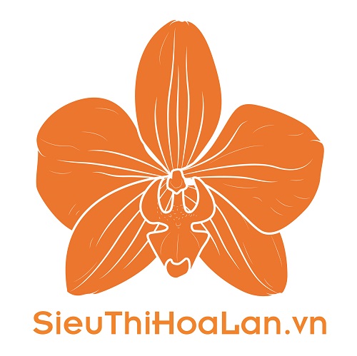 Siêu Thị Hoa Lan Hồ Điệp Hà Nội » Siêu Thị Hoa Lan