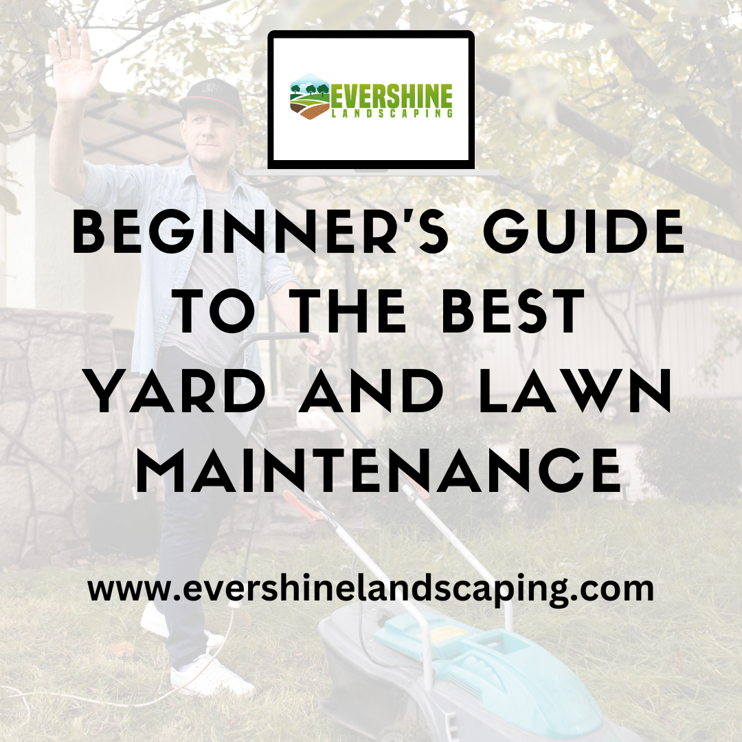 Beginner’s Guide to the Best Yard and Lawn Maintenance - Evershine landscaping