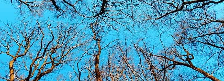 AAA Tree Experts Cover Image