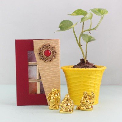 Housewarming Gifts Online | Housewarming Gift Ideas - OyeGifts