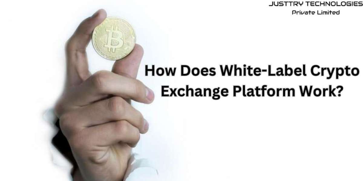 What Is a White-Label Crypto Exchange Platform and How Does It Work?