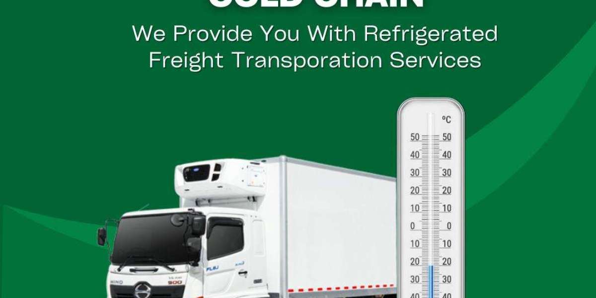 Cold Chain Logistics Solutions by Reefer Express | Trusted Temperature-Controlled Services for Food and Pharmaceuticals