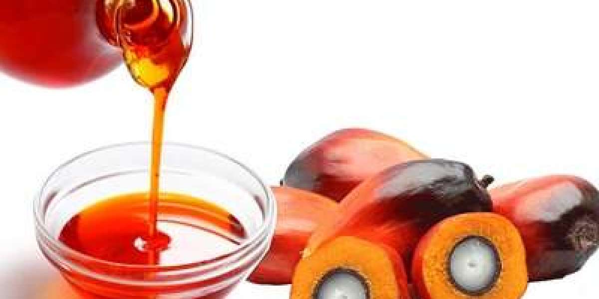 Palm Kernel Oil Prices: Trend, Pricing and Forecast