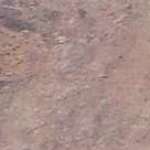 Akansha Profile Picture