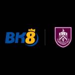 bk8amarresdeam profile picture